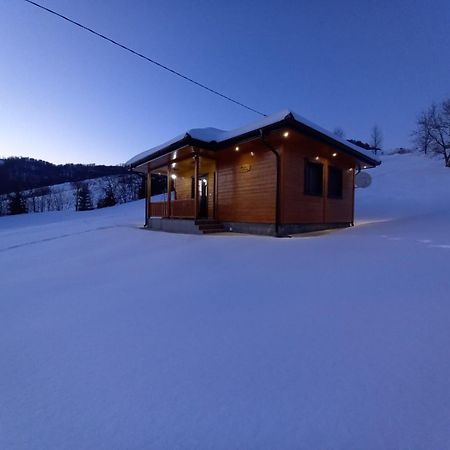 Turizam Koturovic Bed and Breakfast Ivanjica Eksteriør billede
