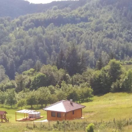 Turizam Koturovic Bed and Breakfast Ivanjica Eksteriør billede