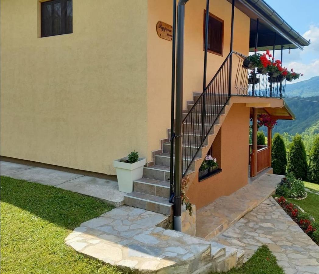Turizam Koturovic Bed and Breakfast Ivanjica Eksteriør billede