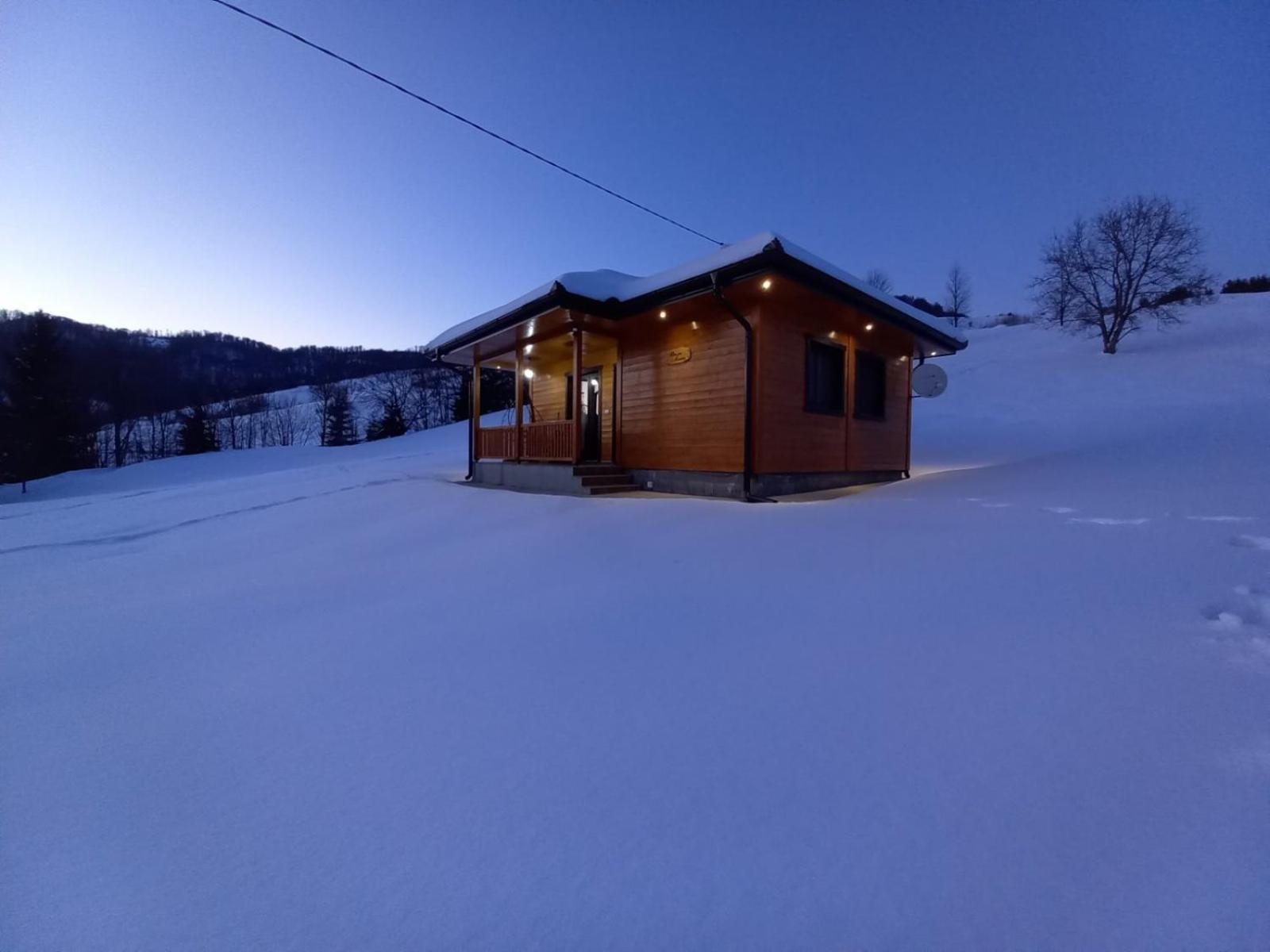 Turizam Koturovic Bed and Breakfast Ivanjica Eksteriør billede
