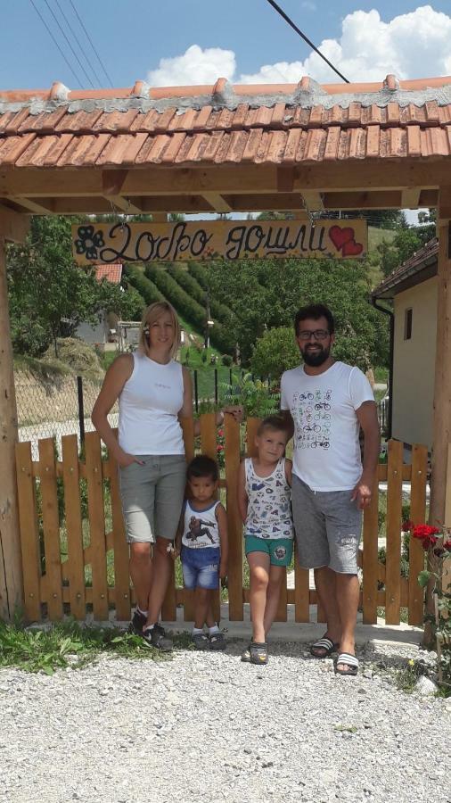 Turizam Koturovic Bed and Breakfast Ivanjica Eksteriør billede