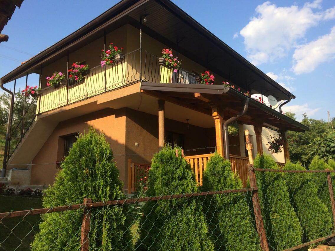 Turizam Koturovic Bed and Breakfast Ivanjica Eksteriør billede
