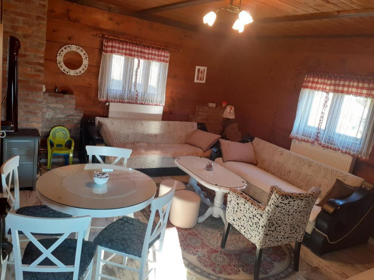 Turizam Koturovic Bed and Breakfast Ivanjica Eksteriør billede
