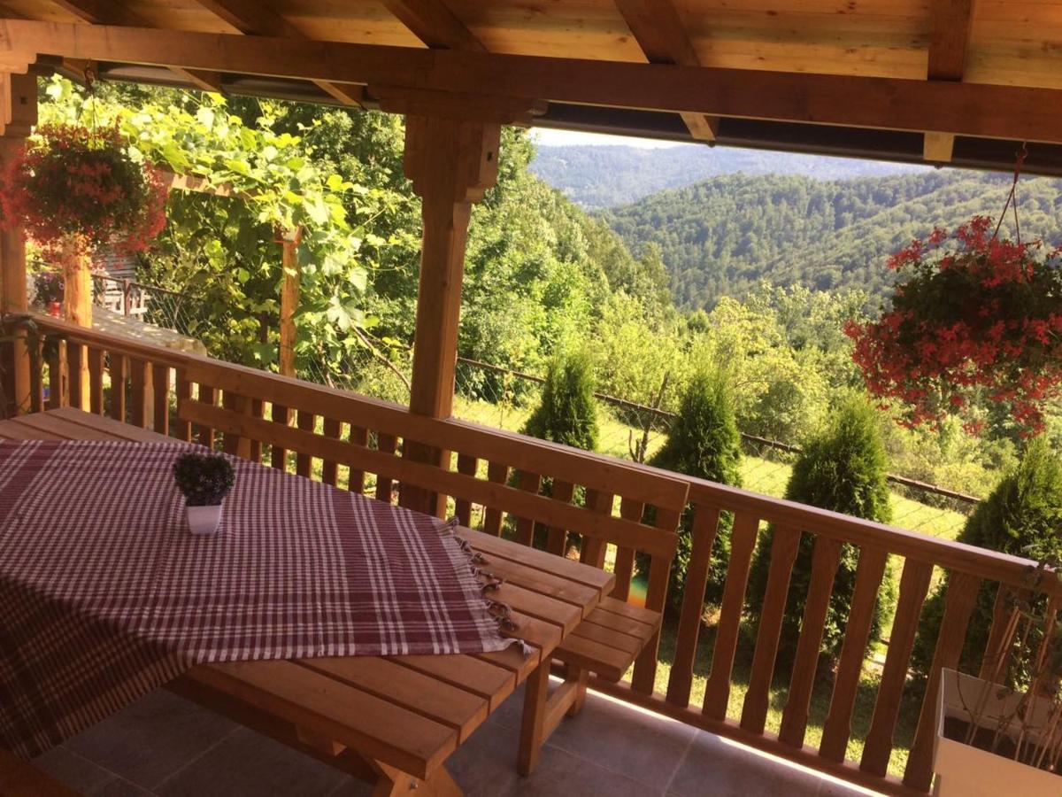 Turizam Koturovic Bed and Breakfast Ivanjica Eksteriør billede