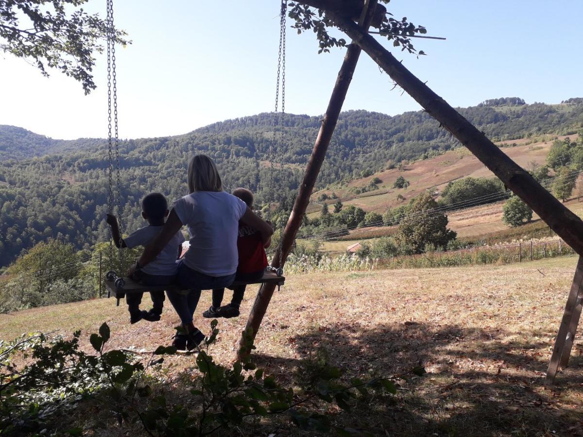 Turizam Koturovic Bed and Breakfast Ivanjica Eksteriør billede